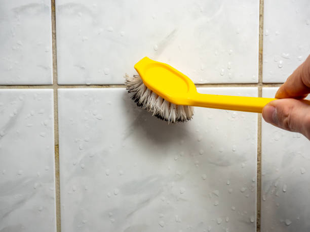 Best Mold Remediation  in Kimberly, ID