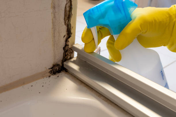 Best Mold Testing  in Kimberly, ID