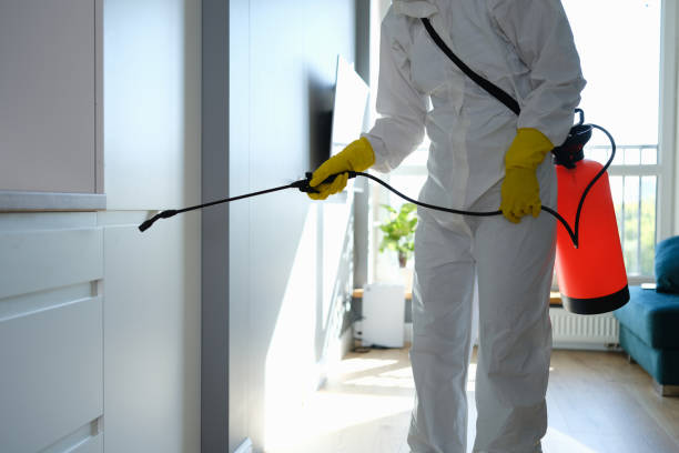 Best Residential Mold Removal  in Kimberly, ID